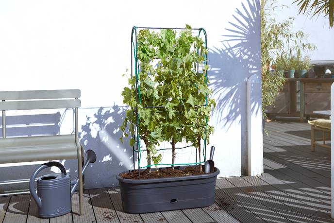 green basics jardiniere treillis 80cm living noir